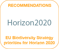 RESEARCH TO SUPPORT THE IMPLEMENTATION OF THE EU BIODIVERSITY STRATEGY PRIORITIES FOR HORIZON 2020