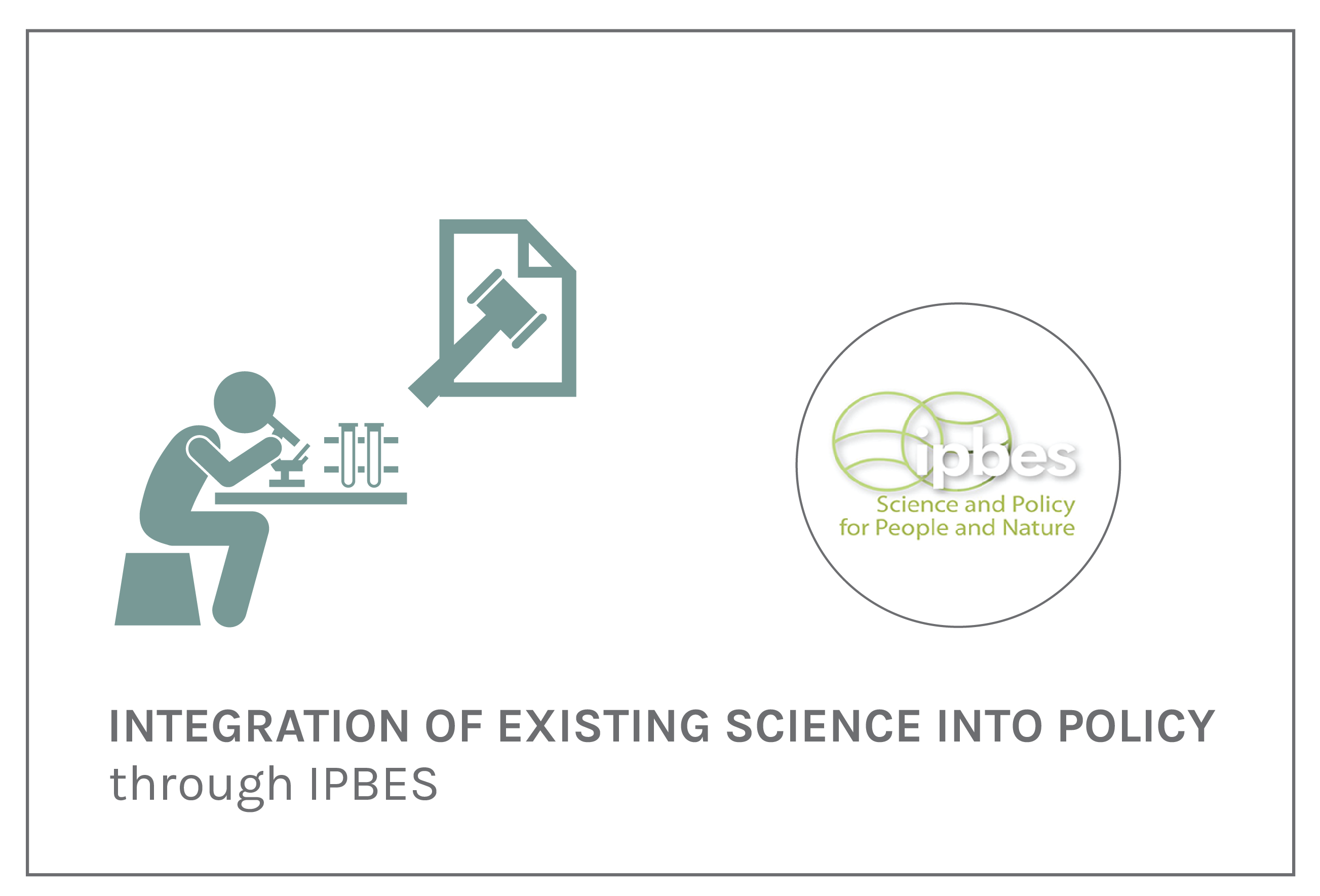 epub chaos and life complexity and order in evolution and