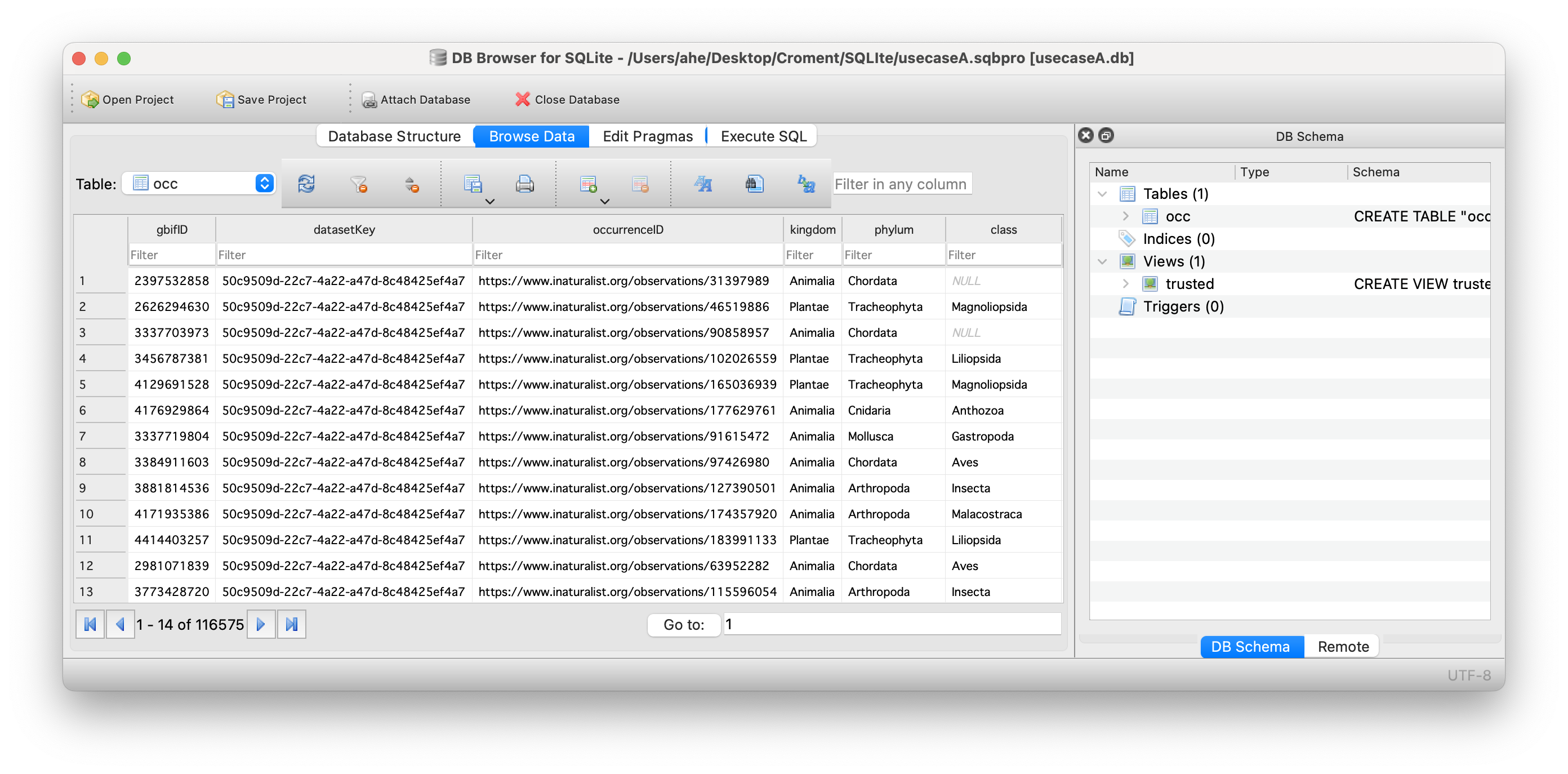 SQLite