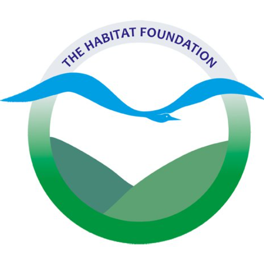 THF